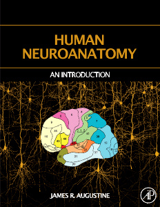 Cover of the book Human Neuroanatomy