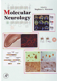 Cover of the book Molecular Neurology