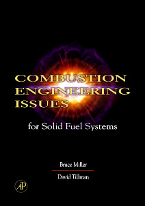 Couverture de l’ouvrage Combustion Engineering Issues for Solid Fuel Systems