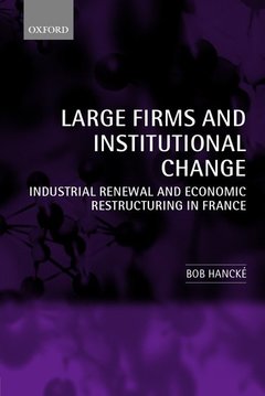 Couverture de l’ouvrage Large Firms and Institutional Change