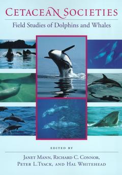 Couverture de l’ouvrage Cetacean Societies : field studies of Dolphins and Whales