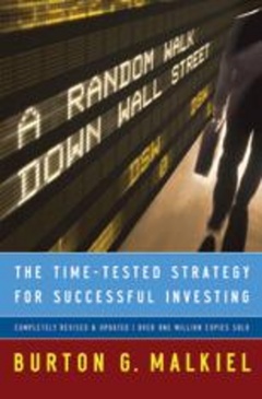 Cover of the book Random walk down wall street: the time-tested strategy for successful investing 9e (harback)