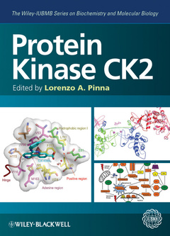 Couverture de l’ouvrage Protein Kinase CK2