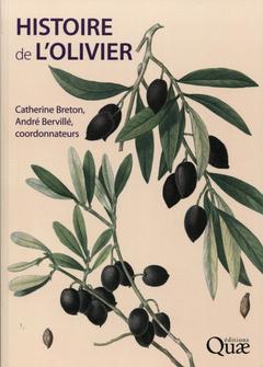 Couverture de l’ouvrage Histoire de l'olivier