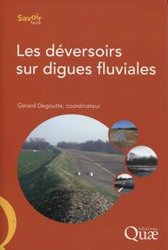 Cover of the book Les déversoirs sur digues fluviales