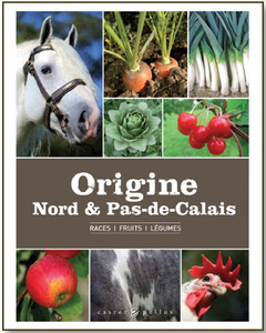 Cover of the book Origine, Nord et Pas-de-Calais