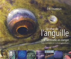 Cover of the book Le rêve de l'anguille