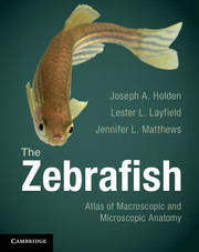 Cover of the book The Zebrafish