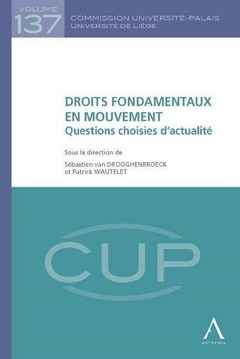 Cover of the book DROITS FONDAMENTAUX EN MOUVEMENT