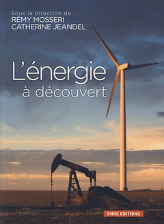 Cover of the book L'Energie à découvert