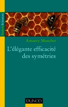 Cover of the book L'élégante efficacité des symétries