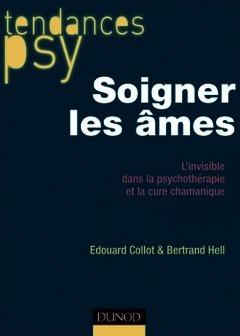 Cover of the book Soigner les âmes - L'invisible dans la psychothérapie et la cure chamanique