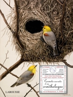 Couverture de l’ouvrage Carnets secrets d'un ornithologue