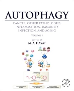 Couverture de l’ouvrage Autophagy: Cancer, Other Pathologies, Inflammation, Immunity, Infection, and Aging
