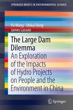 Couverture de l’ouvrage The Large Dam Dilemma
