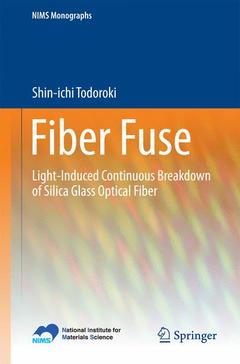 Cover of the book Fiber Fuse