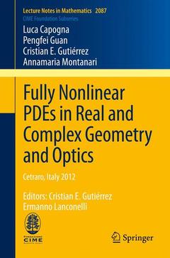Couverture de l’ouvrage Fully Nonlinear PDEs in Real and Complex Geometry and Optics