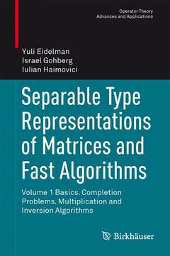 Couverture de l’ouvrage Separable Type Representations of Matrices and Fast Algorithms