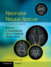 Couverture de l’ouvrage Neonatal Neural Rescue