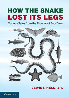 Couverture de l’ouvrage How the Snake Lost its Legs