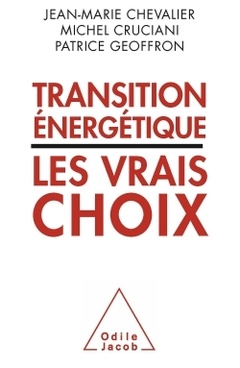 Couverture de l’ouvrage Transition énergétique : les vrais choix