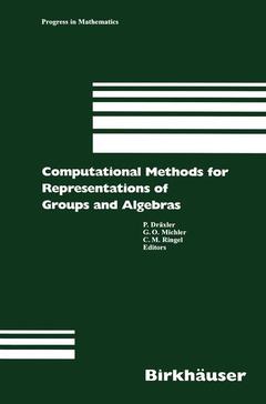 Couverture de l’ouvrage Computational Methods for Representations of Groups and Algebras