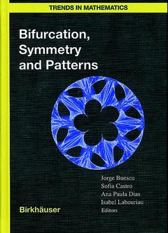 Couverture de l’ouvrage Bifurcation, Symmetry and Patterns