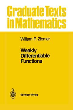 Cover of the book Weakly Differentiable Functions