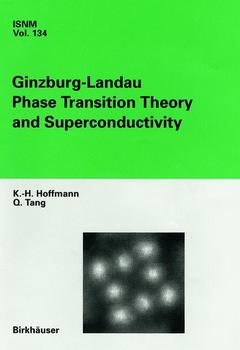 Couverture de l’ouvrage Ginzburg-Landau Phase Transition Theory and Superconductivity