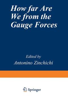 Couverture de l’ouvrage How Far Are We from the Gauge Forces