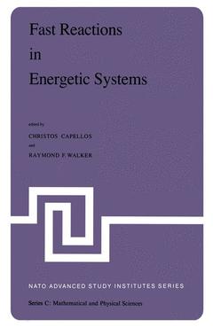 Couverture de l’ouvrage Fast Reactions in Energetic Systems
