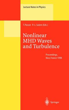 Cover of the book Nonlinear MHD Waves and Turbulence