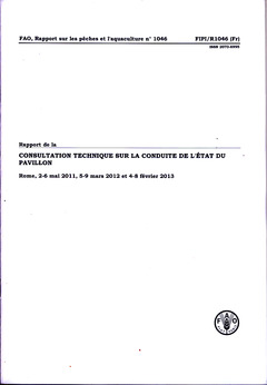 Cover of the book Rapport de la consultation technique sur la conduite de l'état du pavillon