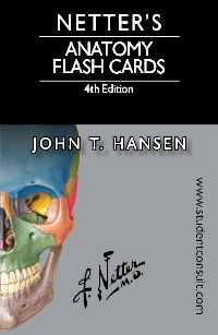 Couverture de l’ouvrage Netter's Anatomy Flash Cards