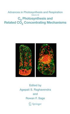 Couverture de l’ouvrage C4 Photosynthesis and Related CO2 Concentrating Mechanisms