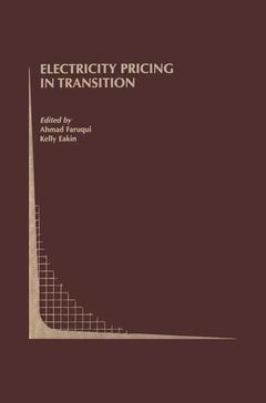 Cover of the book Electricity Pricing in Transition
