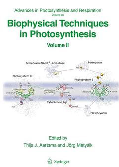 Couverture de l’ouvrage Biophysical Techniques in Photosynthesis