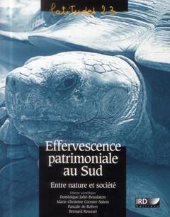 Cover of the book Effervescence patrimoniale au sud