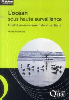 Cover of the book L'océan sous haute surveillance