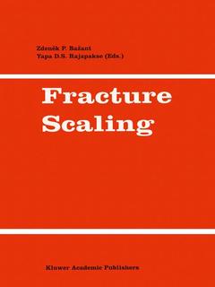 Couverture de l’ouvrage Fracture Scaling