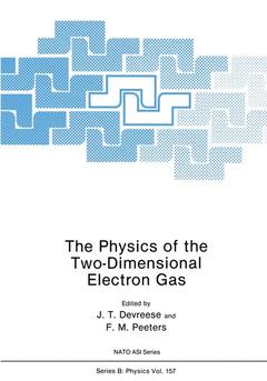 Couverture de l’ouvrage The Physics of the Two-Dimensional Electron Gas