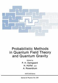 Couverture de l’ouvrage Probabilistic Methods in Quantum Field Theory and Quantum Gravity