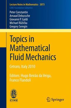 Couverture de l’ouvrage Topics in Mathematical Fluid Mechanics