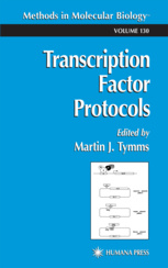 Couverture de l’ouvrage Transcription Factor Protocols