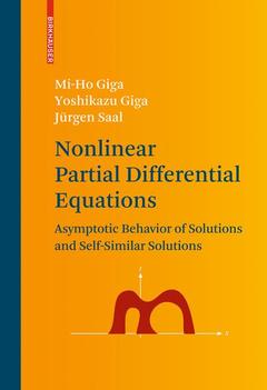 Couverture de l’ouvrage Nonlinear Partial Differential Equations