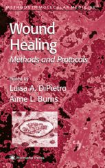 Couverture de l’ouvrage Wound Healing