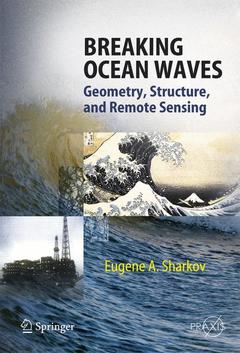 Cover of the book Breaking Ocean Waves