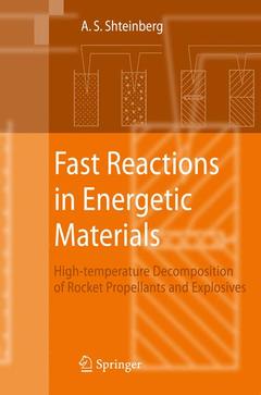Cover of the book Fast Reactions in Energetic Materials