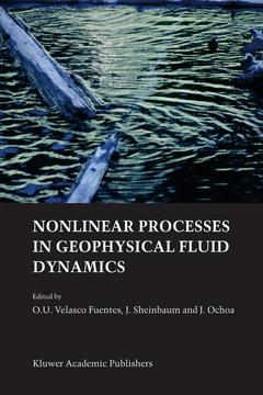Cover of the book Nonlinear Processes in Geophysical Fluid Dynamics