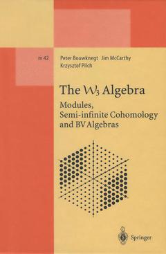 Cover of the book The W3 Algebra